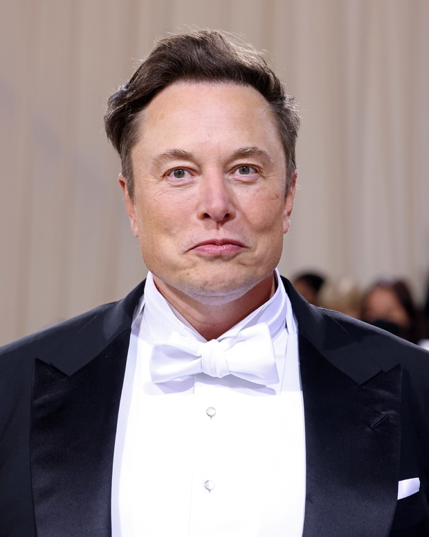 Elon Musk, 2022