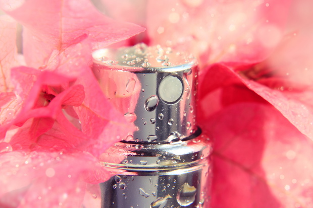 Close up of wet perfume bottle with shiny drops amongst fresh pink flower petals. Delicate aroma, spa, feminine beauty care.