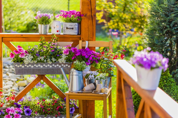 Blooming flowers in the balcony boxes and flowers decoration.