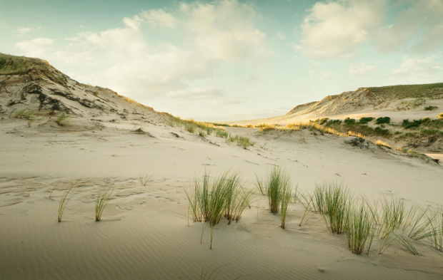 Landscape of sand dunes in Slowinski National Park, Poland