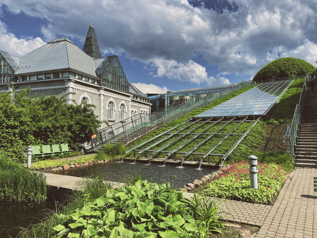 Rooftop Gardens of University library in center of Warsaw. Green