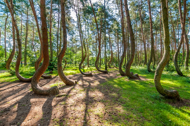 Nowe Czarnowo, West Pomeranian Voivodeship, Poland