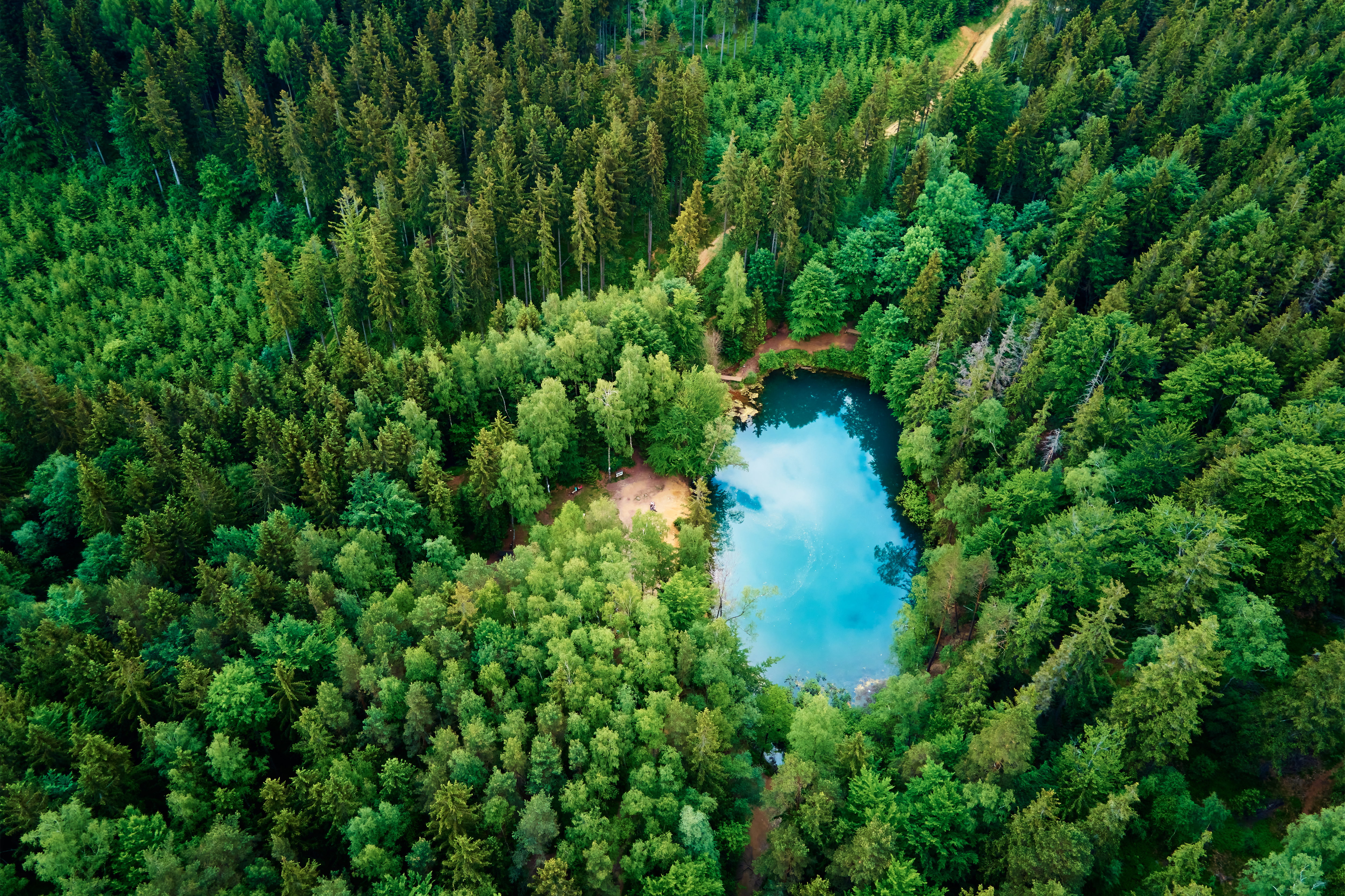 Aerial view of blue colored forest lake in Poland