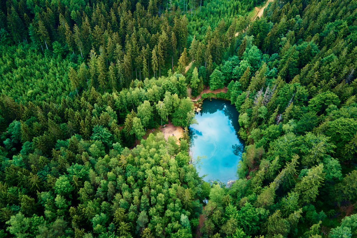 Aerial view of blue colored forest lake in Poland
