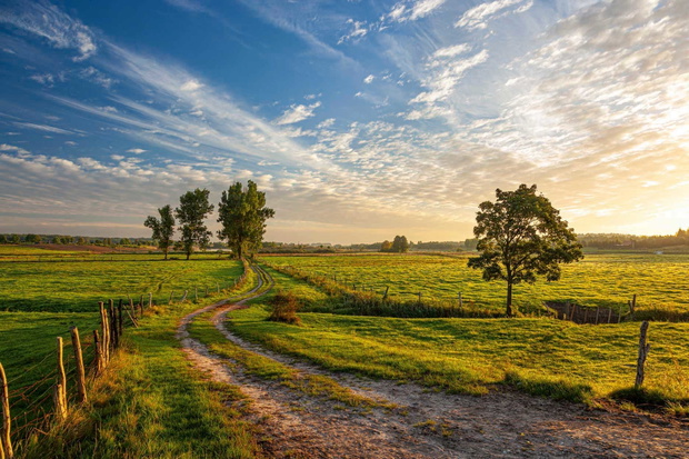 A field road between pastures and meadows at sunrise near the vi