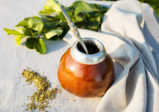 Yerba mate