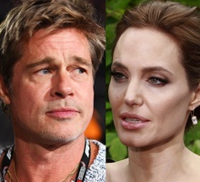 jamnik Brad Pitt, Angelina Jolie