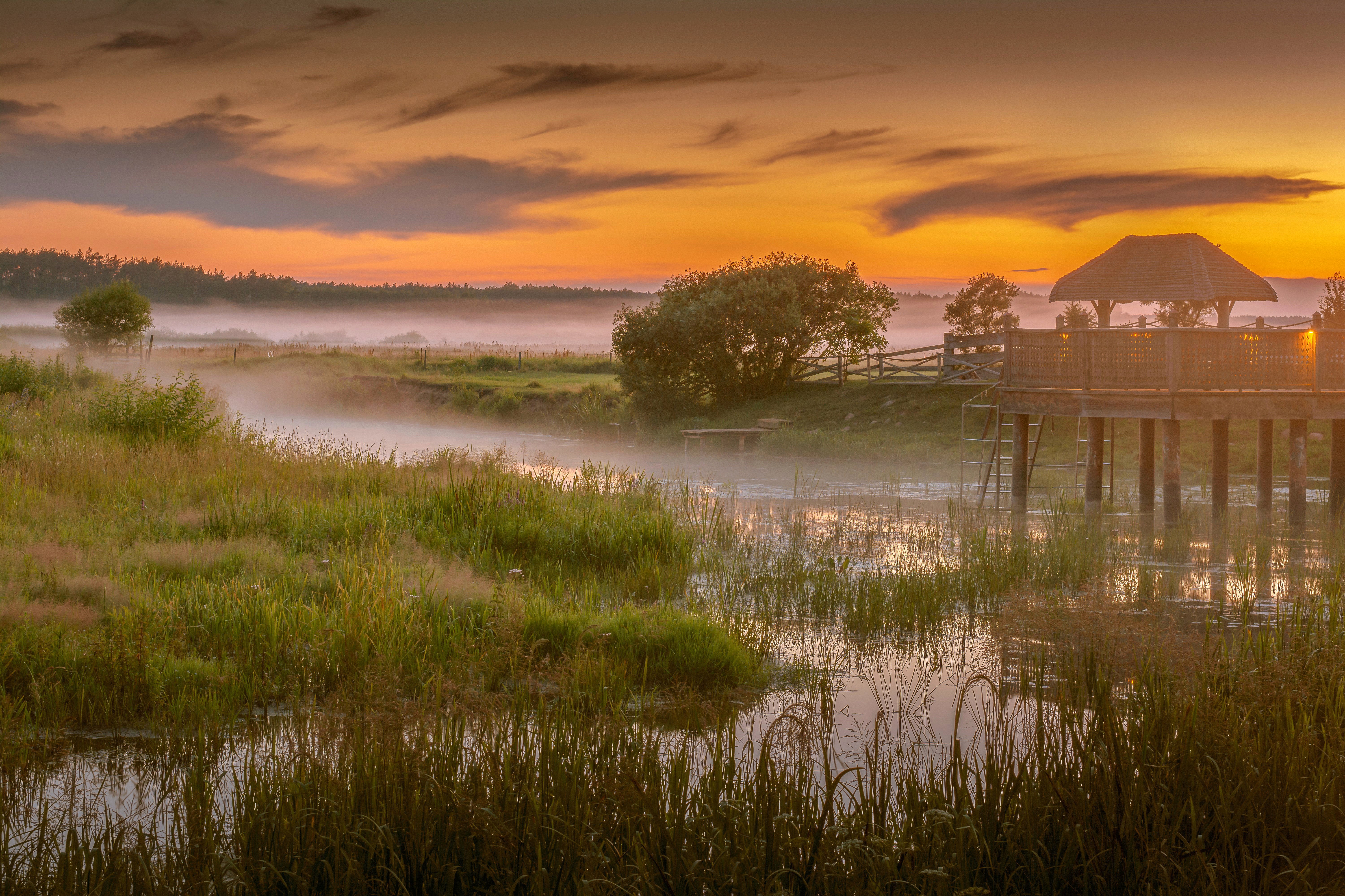 Narew