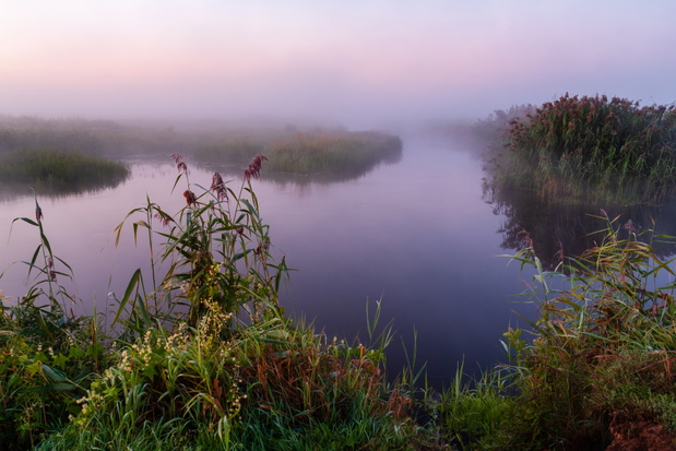 Narwiański Park Narodowy. Poranek nad Narwią