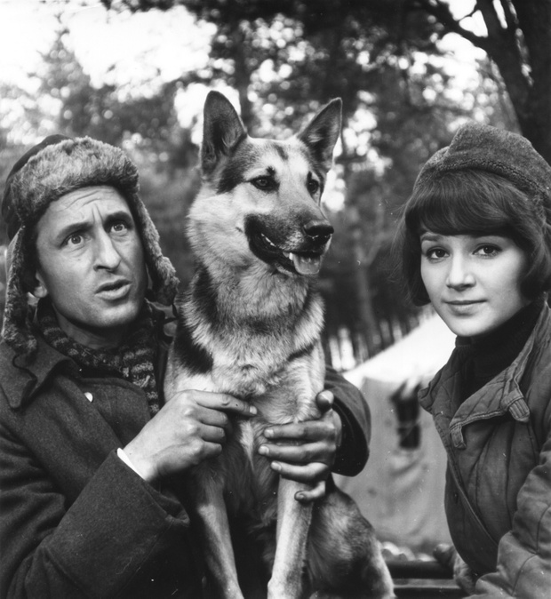 Plan serialu „Czterej pancerni i pies”, 1966 rok. Od lewej: Franciszek Pieczka (Gustlik), Małgorzata Niemirska (Lidka), w środku pies Szarik