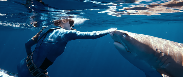 Shark_Whisperer_00_35_11_21