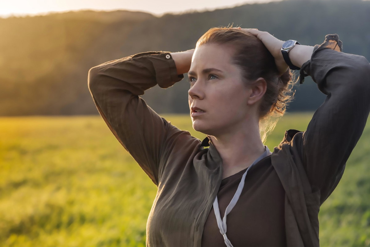 Nowy początek, 2016 r. Amy Adams