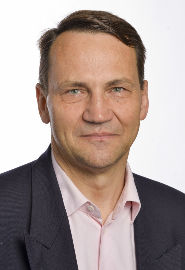 Polscy pos?owie IX kadencji do Parlamentu Europejskiego