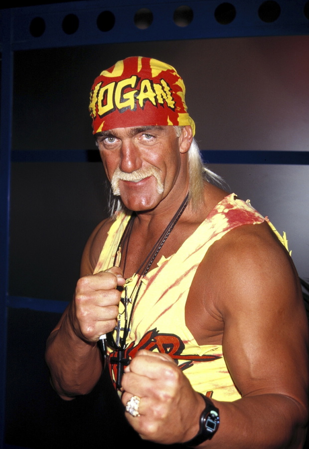 Hulk Hogan, 1996