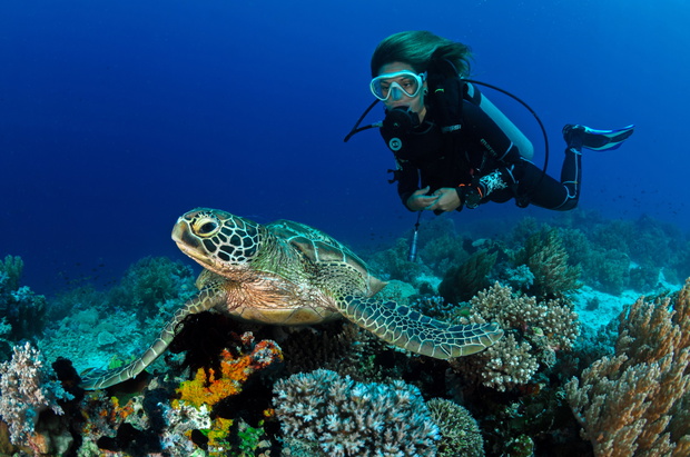 Turtle and girl