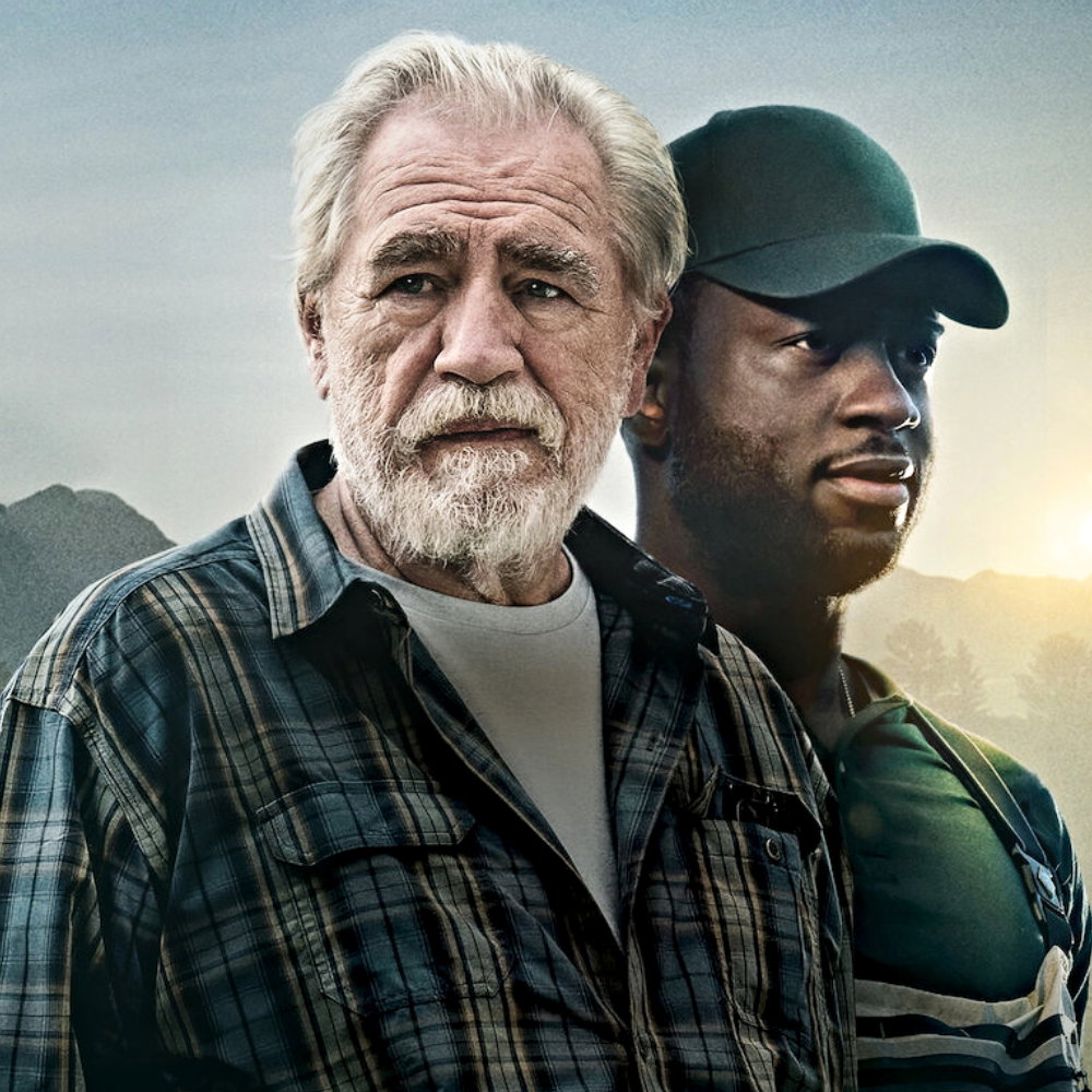 Film, Powrót do siebie