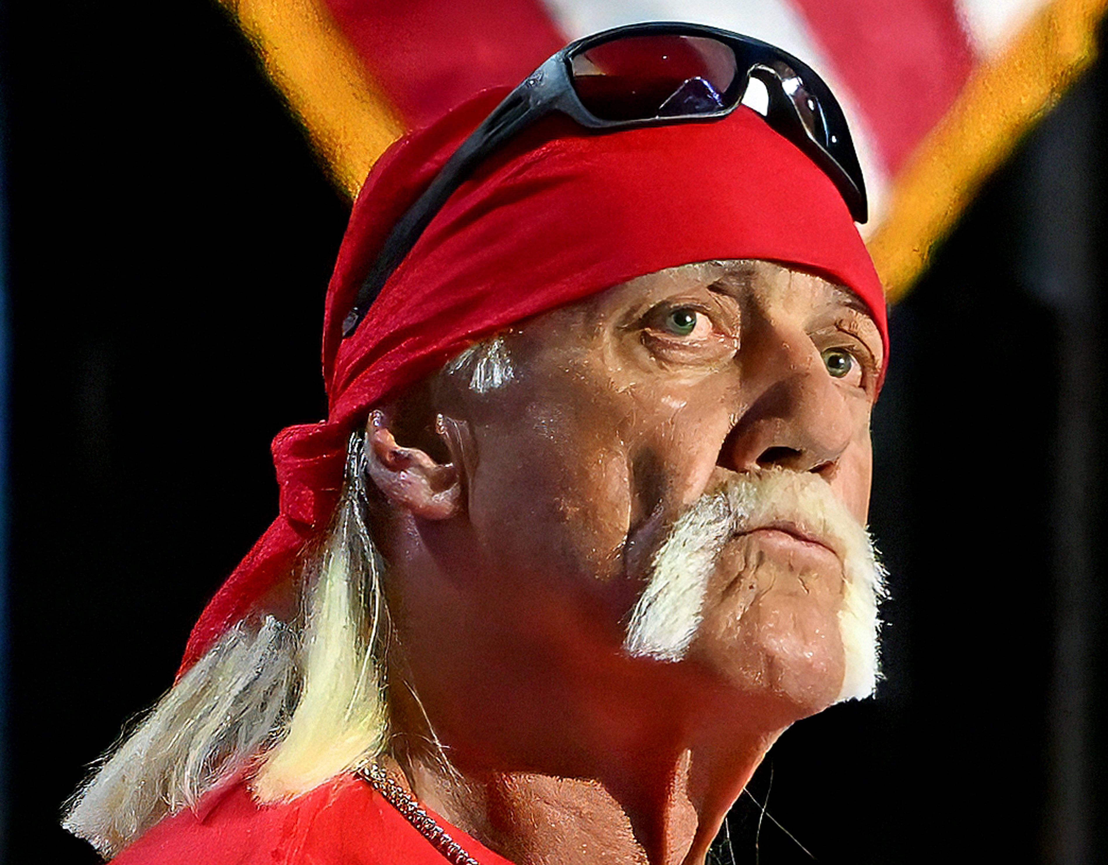 Hulk Hogan