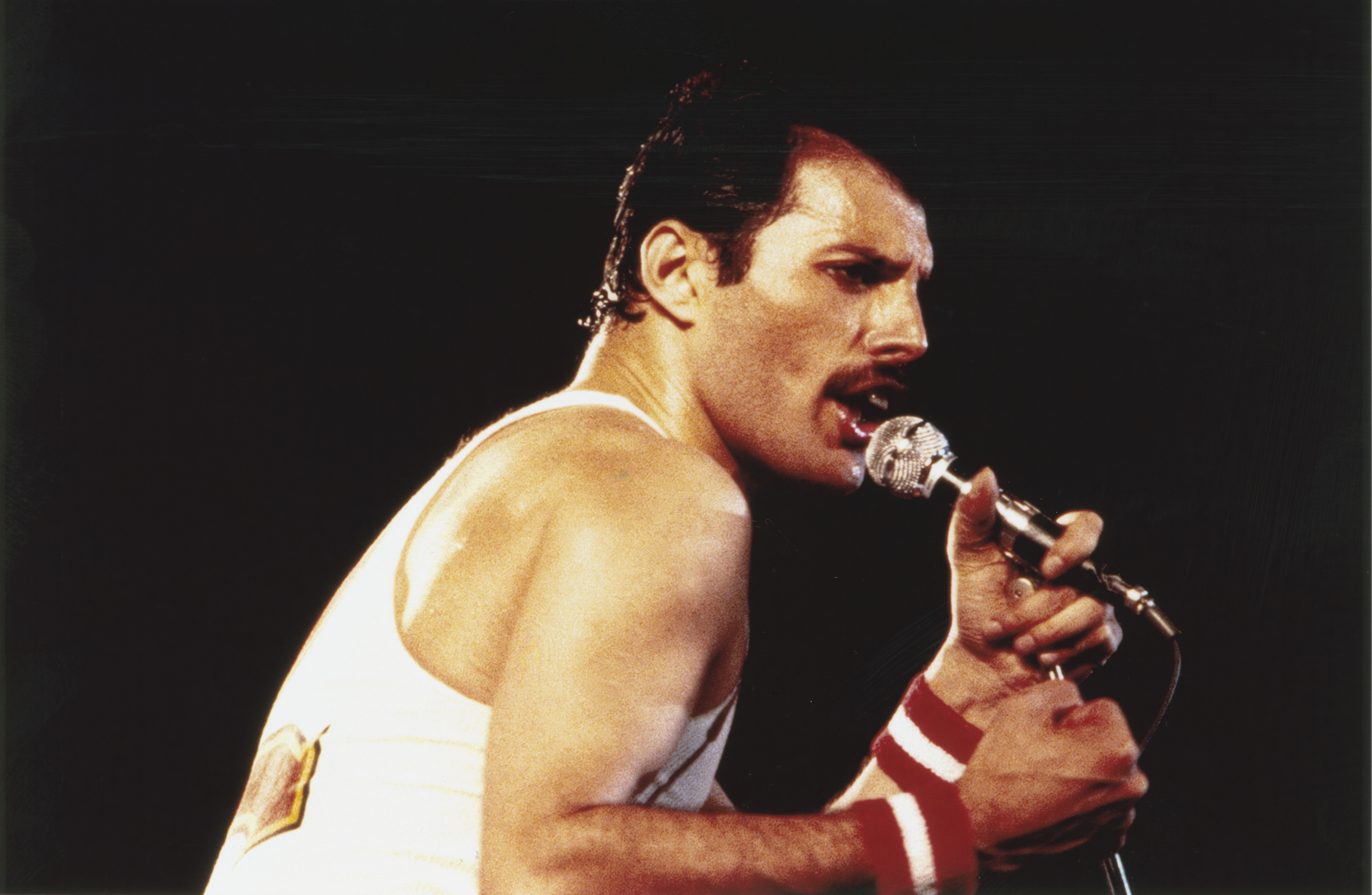 Freddie Mercury, 1982 rok