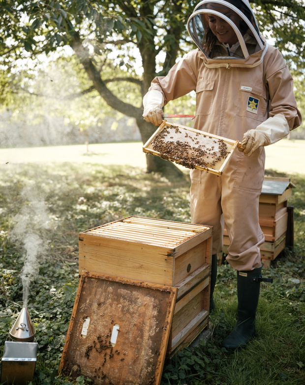 Catherine, Princess of Wales Marks World Bee Day