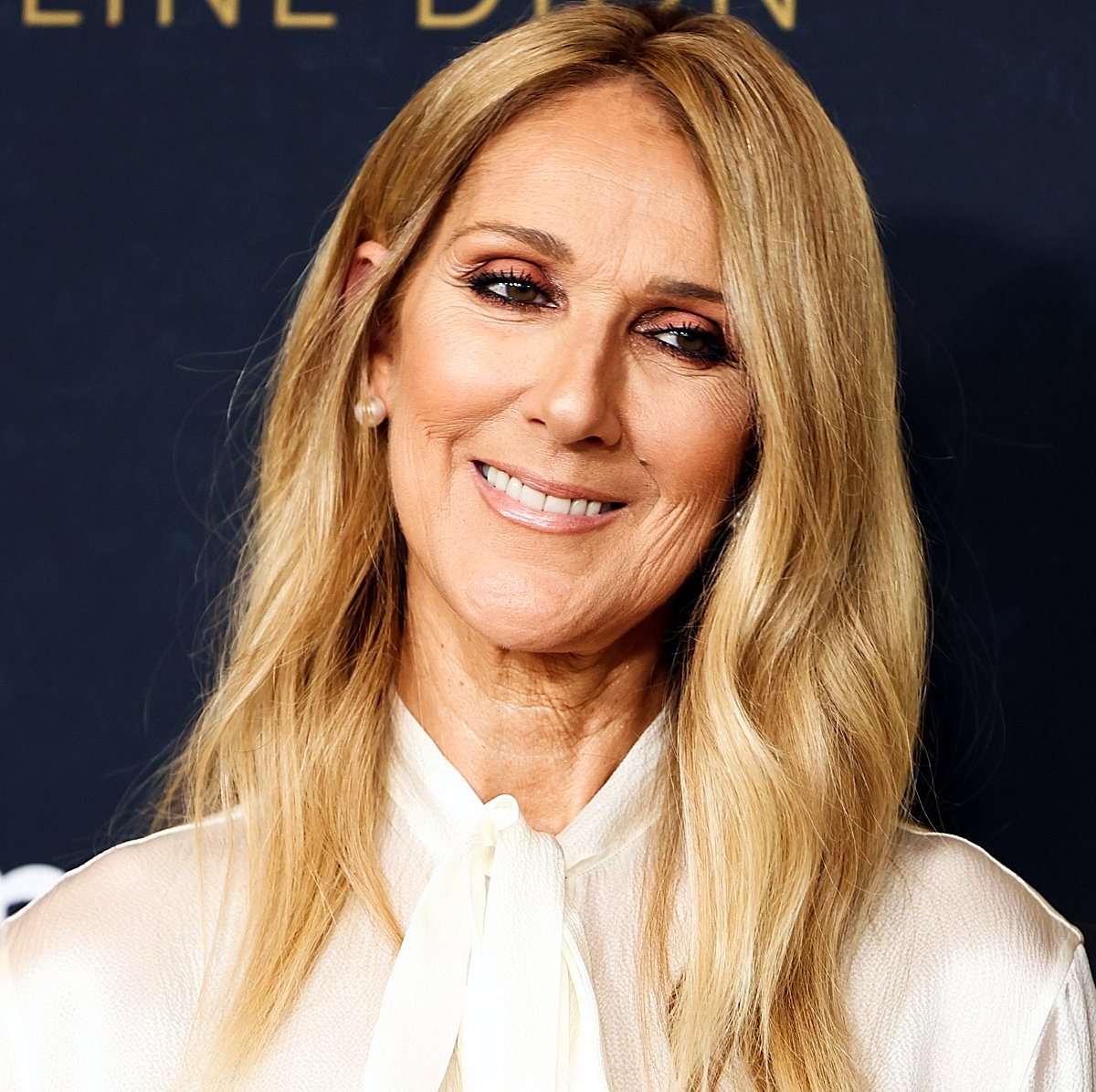 Celine Dion, 2024