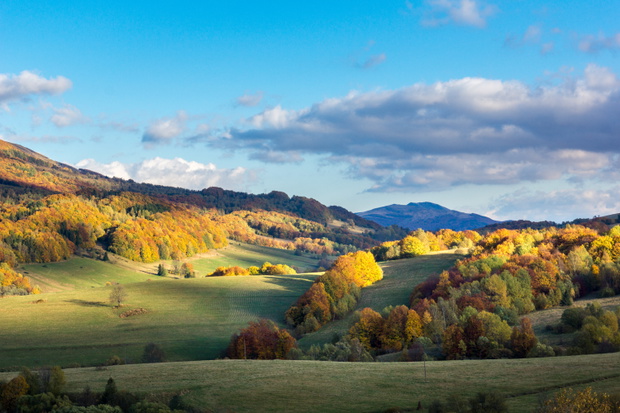 Połonina Wetlińska w Bieszczadach