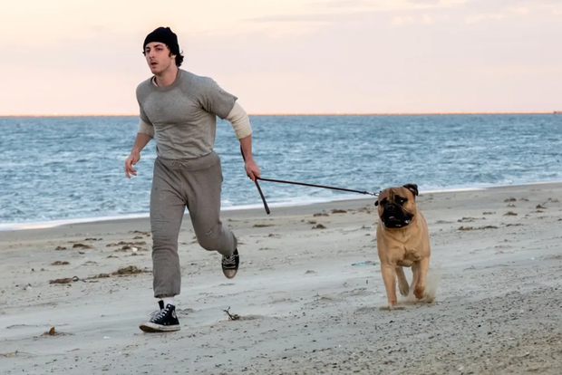 "I Play Rocky"