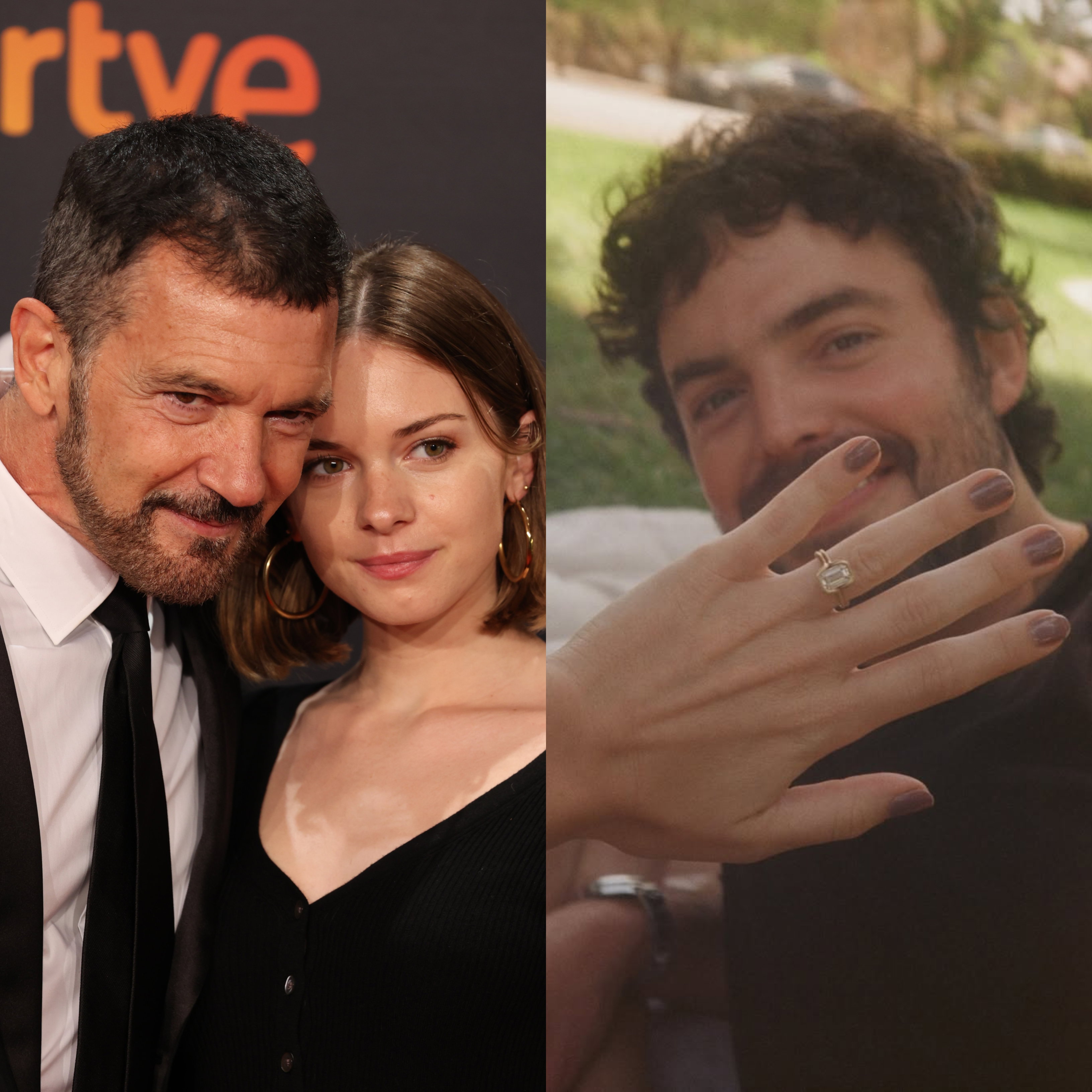 jamniki Stella Banderas, Antonio Banderas