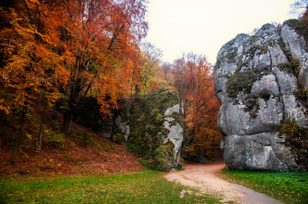 Brama Krakowska, Ojców