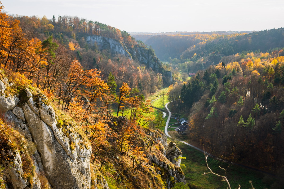 Ojcowski Park Narodowy, las, jesień, polska, małopolska