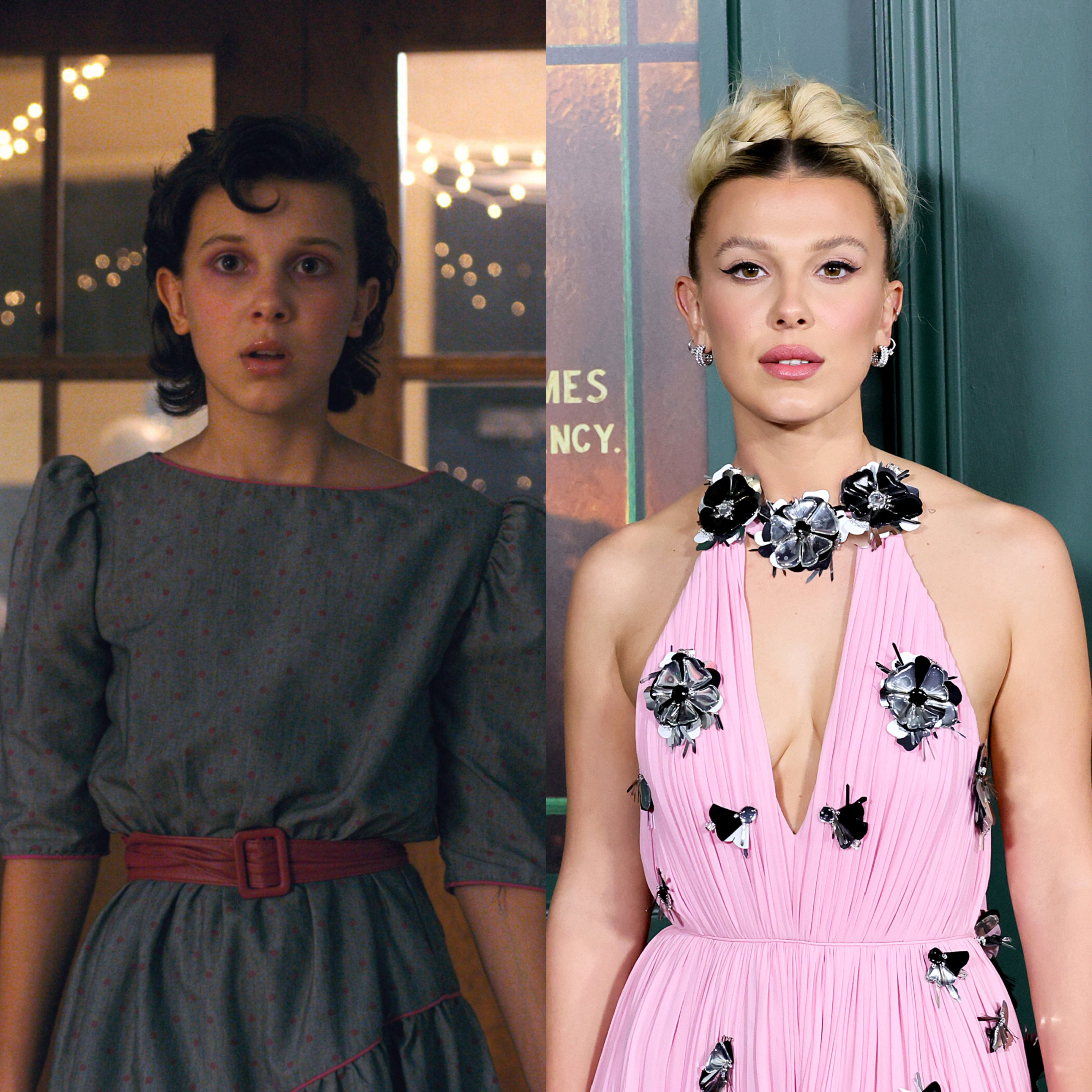 jamniki Millie Bobby Brown