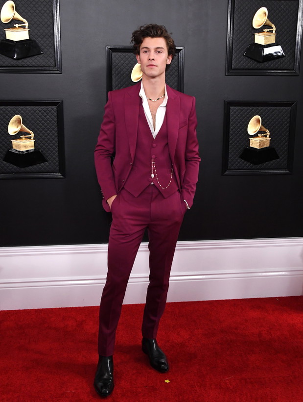 62nd Annual GRAMMY Awards - Arrivals