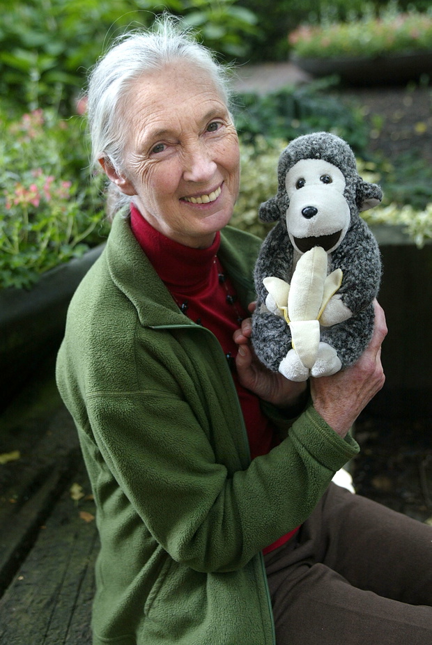 Jane Goodall, 2002 rok