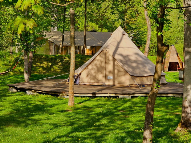 Forrest Glamp