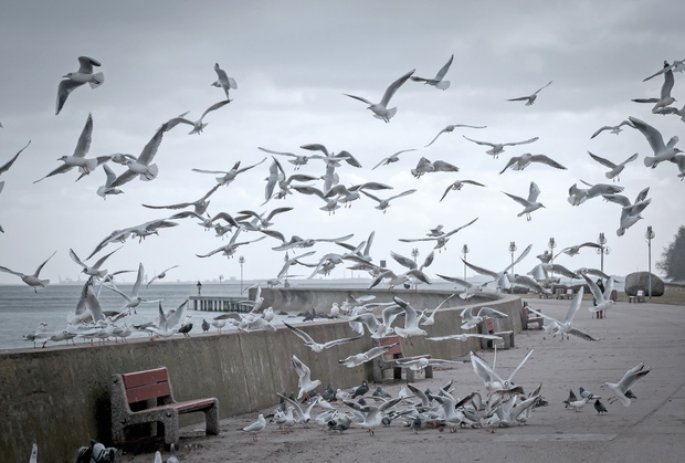 Bulwar Nadmorski Gdynia