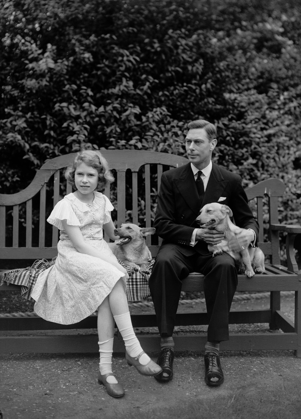 Dog Bench