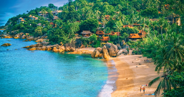 Jedna z plaż  na Koh Samui otoczona palmami kokosowymi.