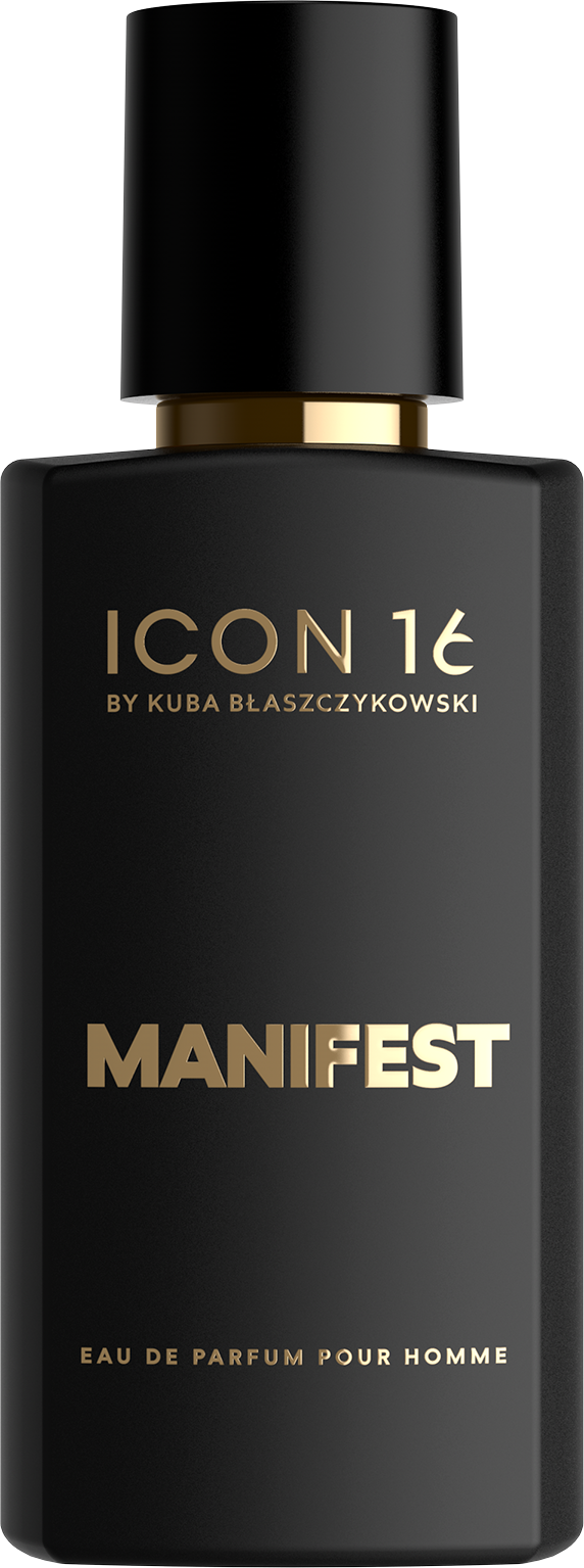 icon16 manifest