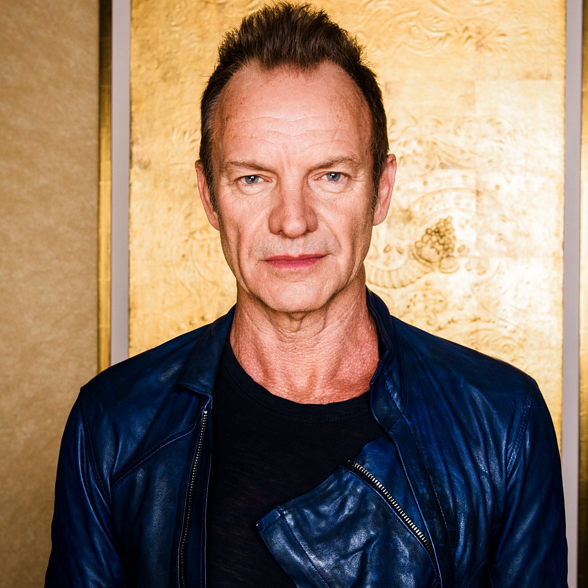 Sting, 2016 rok