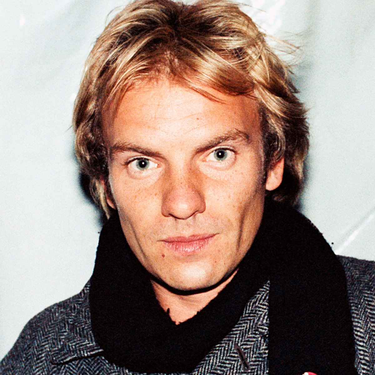 Sting, 1980,