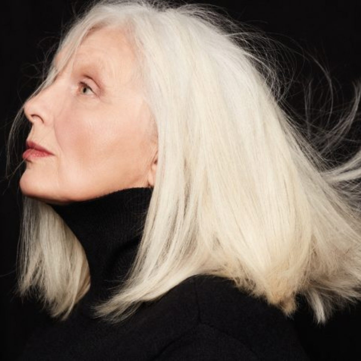 jamniki (2) - Magda Umer, Viva! 6/2022