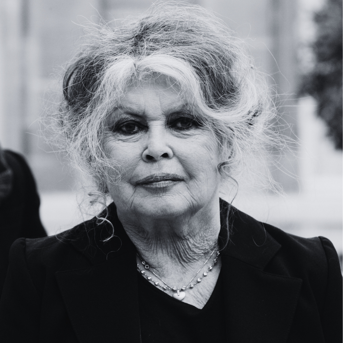 Brigitte Bardot