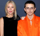 jamniki (2) - Gwyneth Paltrow, Timothee Chalamet