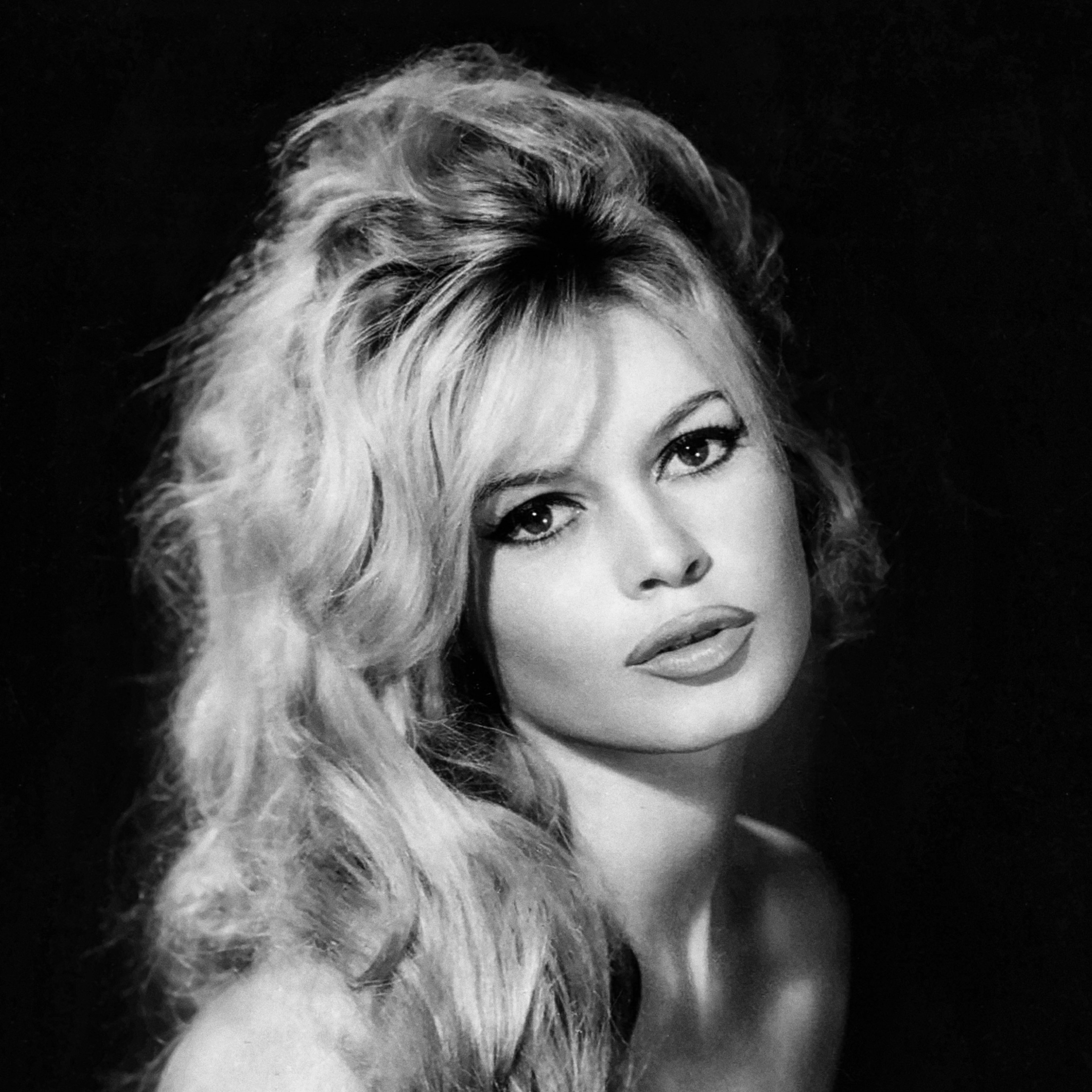 Brigitte Bardot, 1963 rok