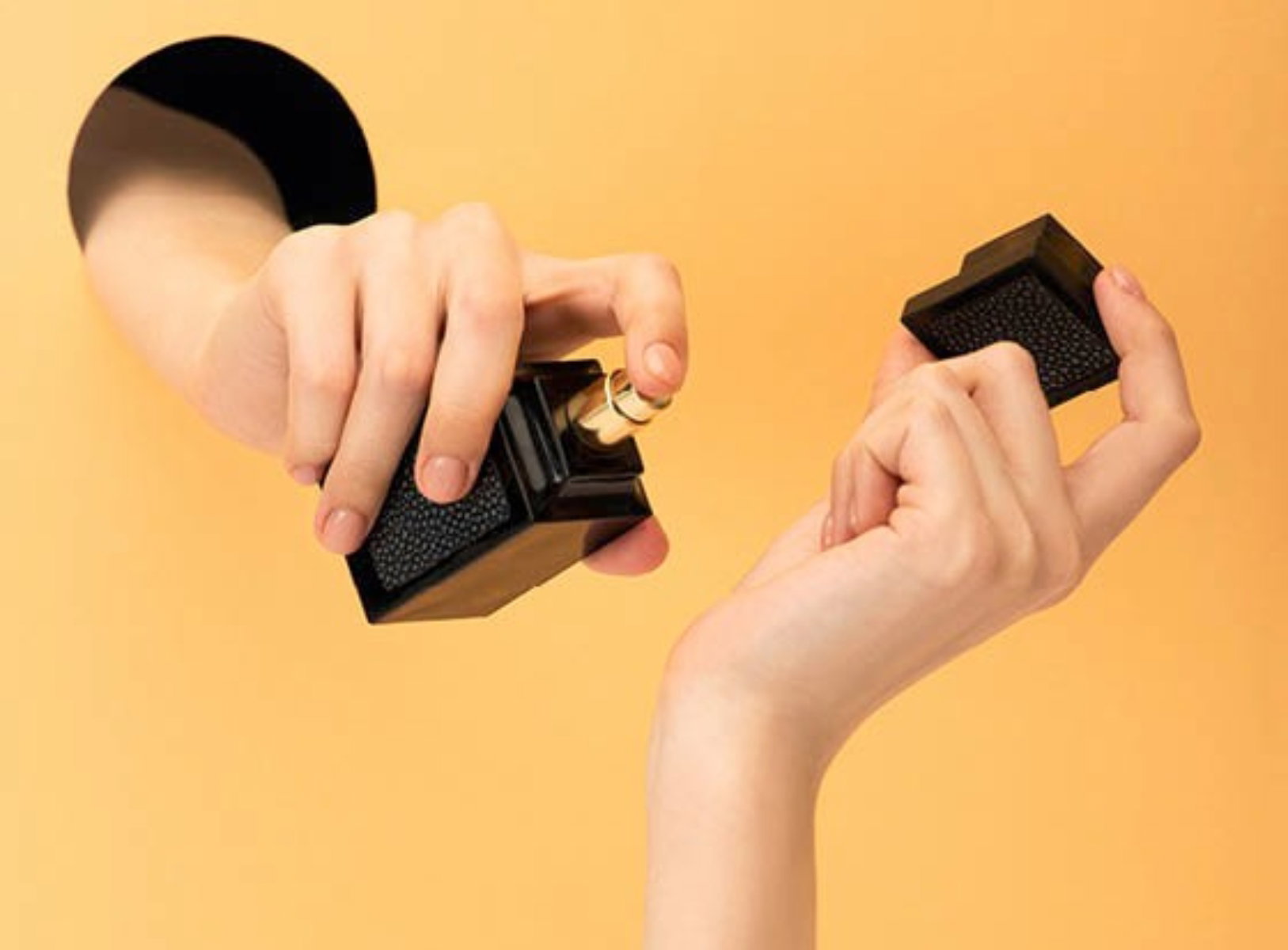perfumy nowe