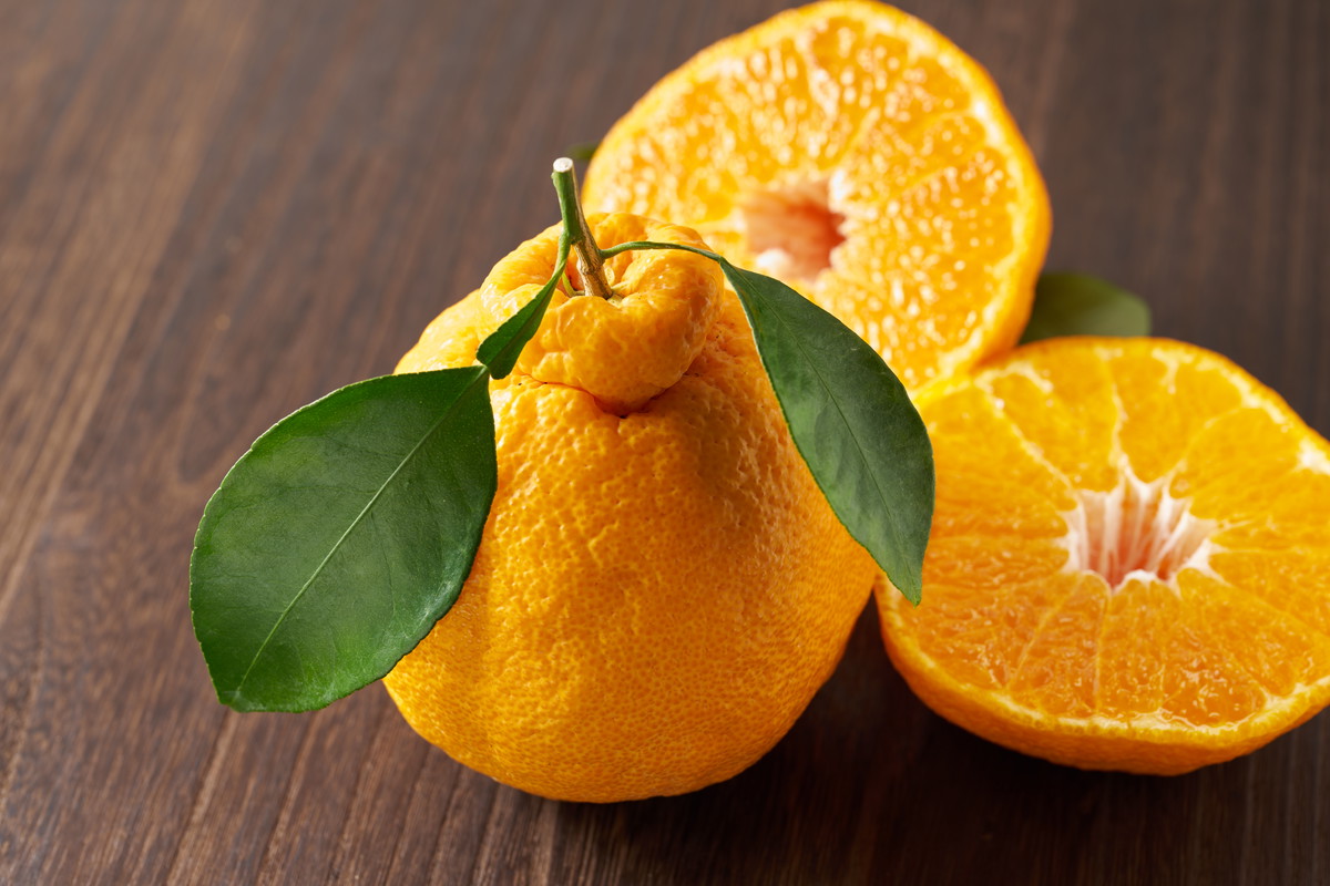 Sumo Citrus