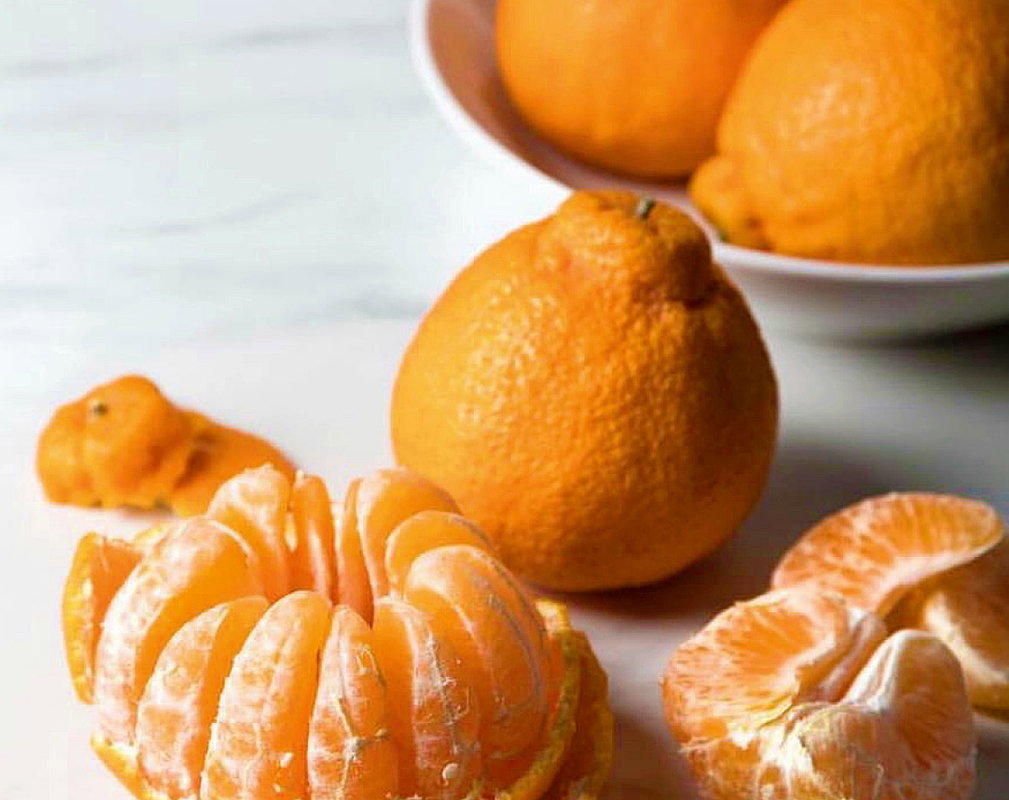 citrus2