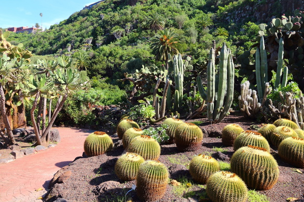 Gran Canaria - Jardin Canario
