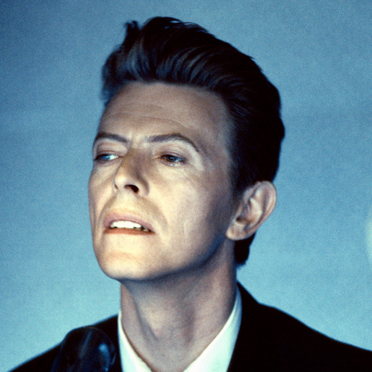 jamniki (2) - David Bowie (1947 - 2016)