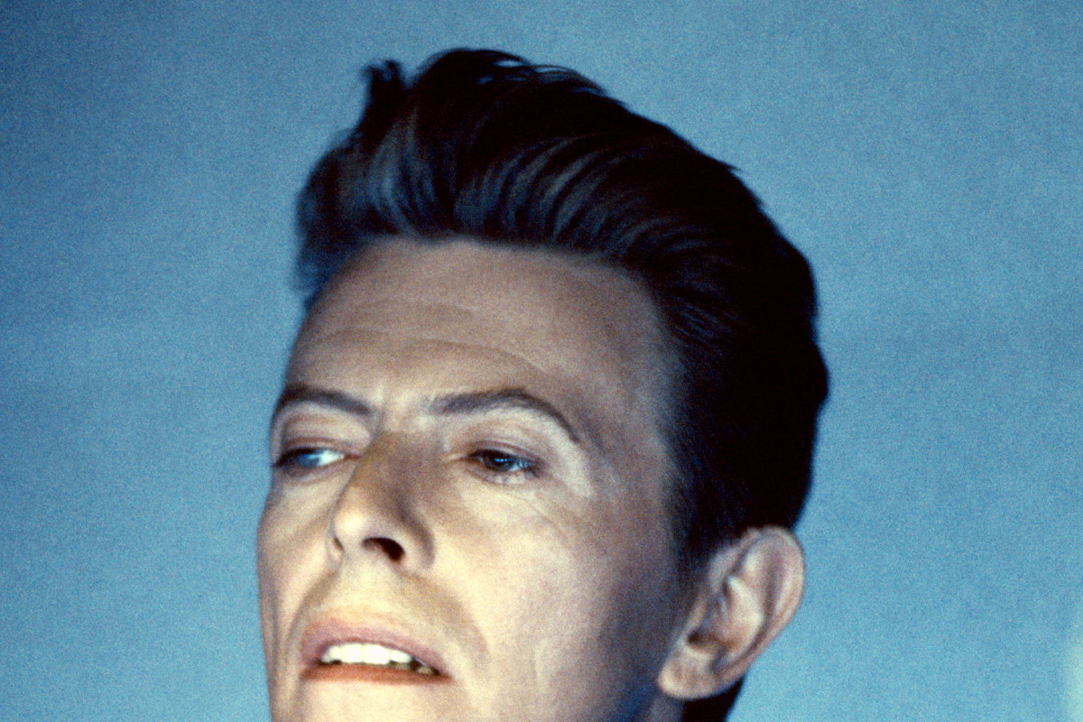 jamniki (2) - David Bowie (1947 - 2016)