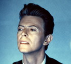 jamniki (2) - David Bowie (1947 - 2016)